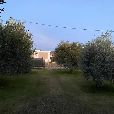 Mavi Boncuk * Muğla